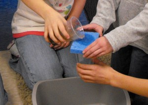 Earth Day Activity Water Pollution Experiment