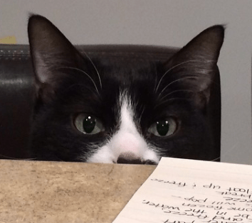 screen-shot-2017-01-16-at-9-27-58-pm